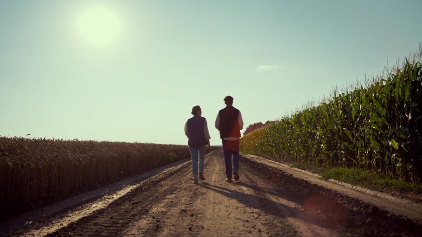 Agronomists walking ground road together. Farmers silhouettes inspecting harvest Agronomists walking ground road together. Farmers silhouettes inspecting harvest